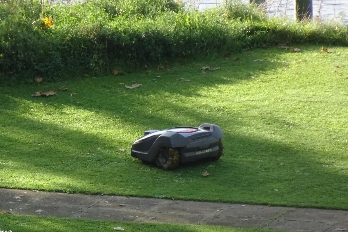 Worx Landroid Vision vs Cat DG670: Which Robotic or Cordless Lawn Mower Wins in 2026?