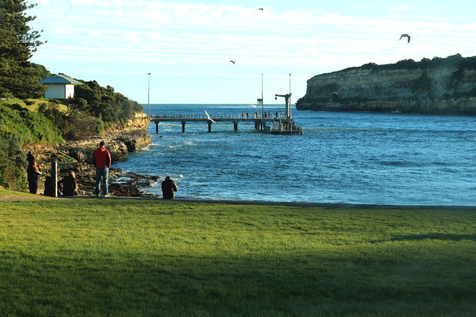 Tranquil morning view of a pier in Geelong, Australia with people enjoying the scenic seascape.