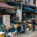 SENIX 2000 PSI Electric Pressure Washer vs SENIX 20V Cordless Mower: Which Elevates Home Exteriors Better in 2026?